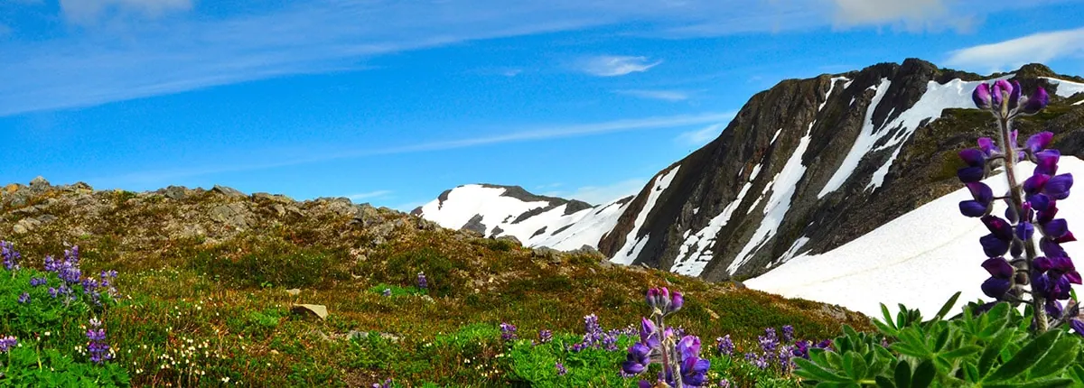 10-Night Alaska Inside Passage & Glacier Cruise from San Francisco