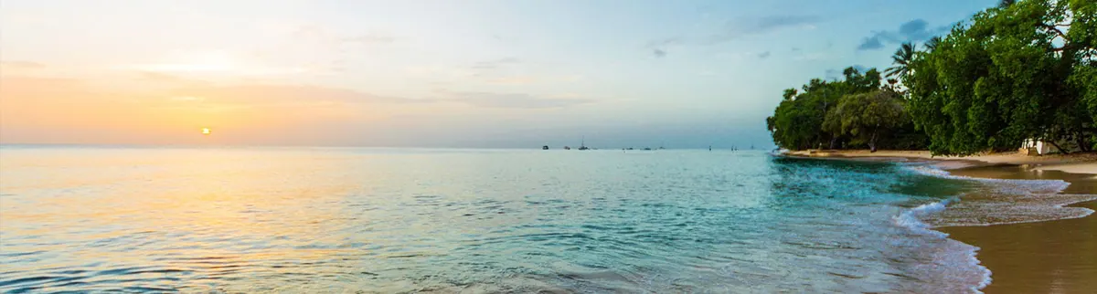 14-Night Southern Caribbean Cruise from Port Canaveral