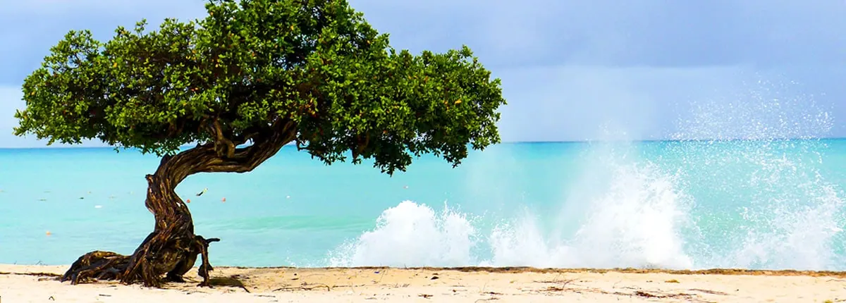 8-Night Southern Caribbean Cruise from Port Canaveral
