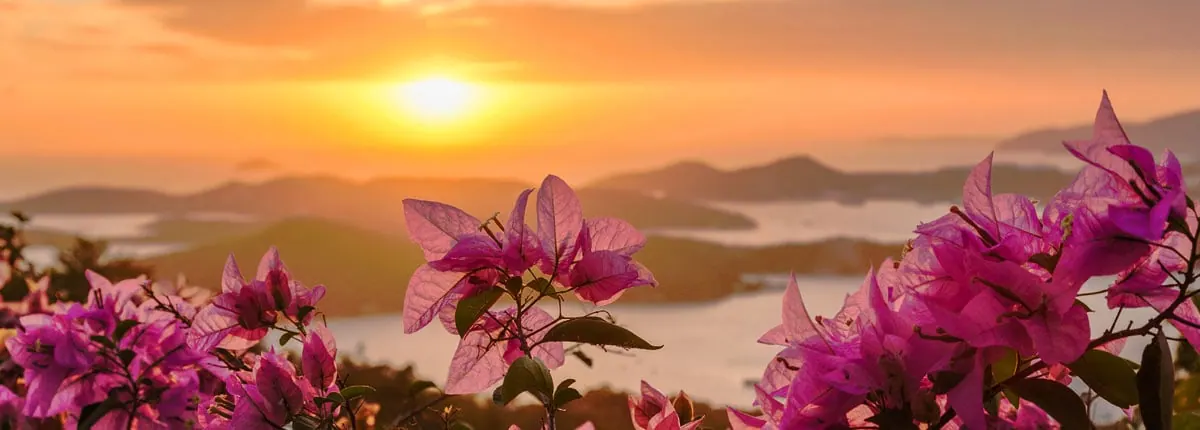 7-Night Eastern Caribbean Cruise from Port Canaveral