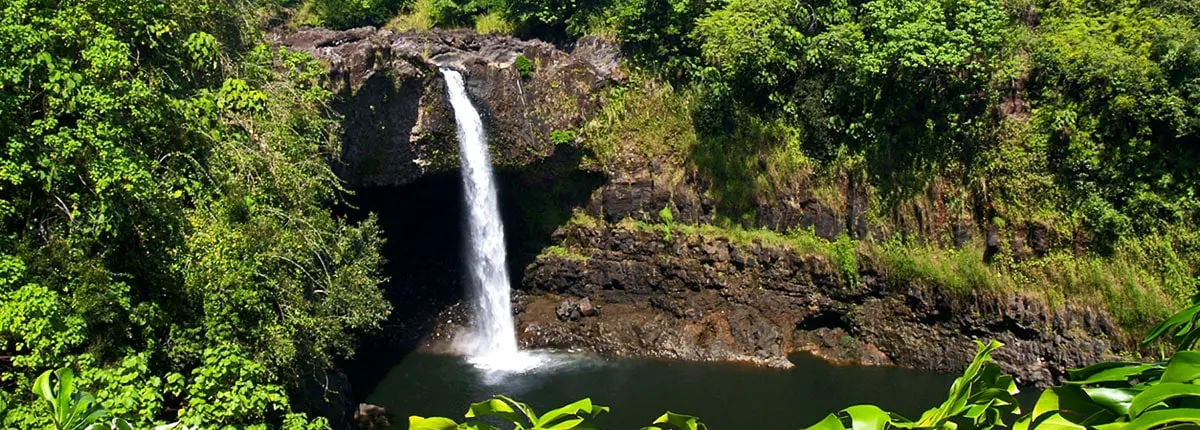 Hawaii cruises