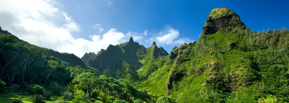 14-Night Hawaii Cruise from Long Beach