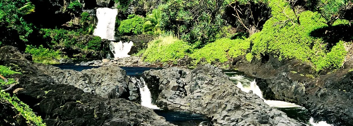 15-Night Hawaii Cruise from Seattle