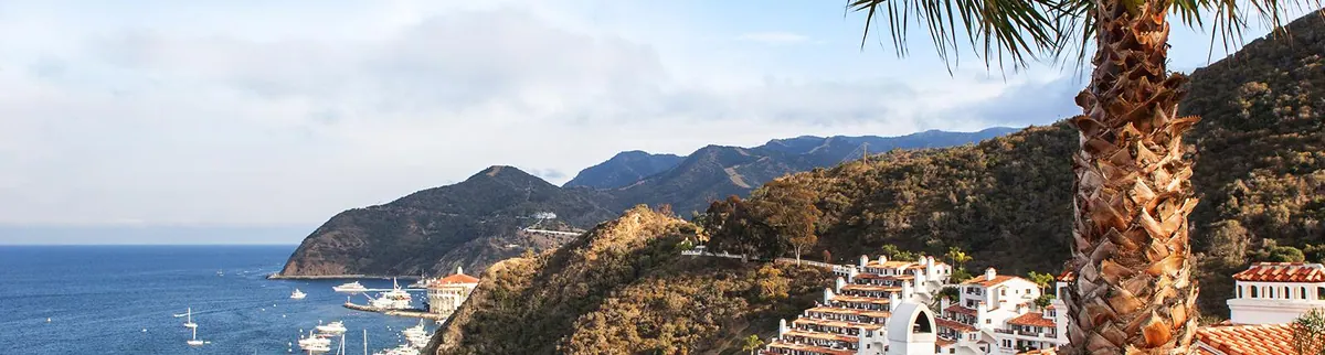 4-Night Baja Mexico Cruise from Long Beach