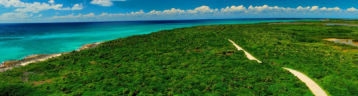 6-Night Western Caribbean Cruise from Tampa