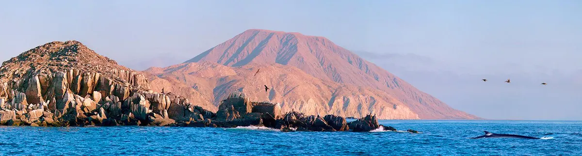 3-Night Baja Mexico Cruise from Long Beach