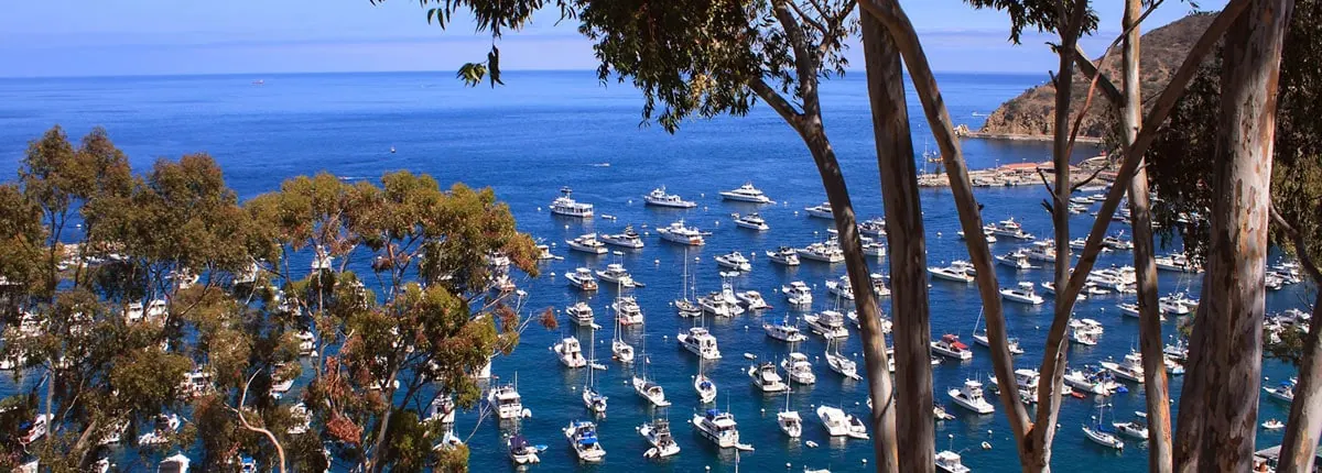 5-Night Baja Mexico Cruise from San Francisco