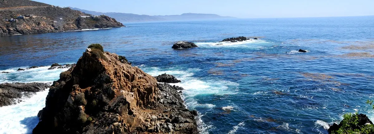 4-Night Baja Mexico Cruise from San Francisco