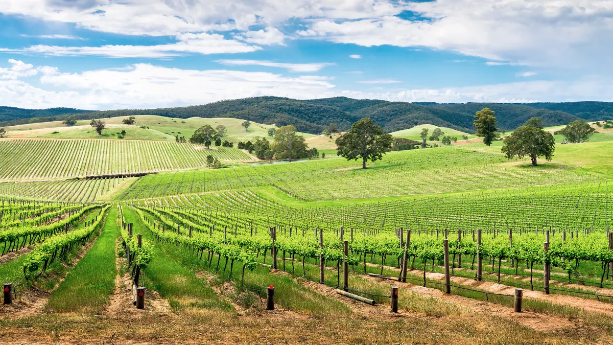 9-Night Australia Wine Cruise