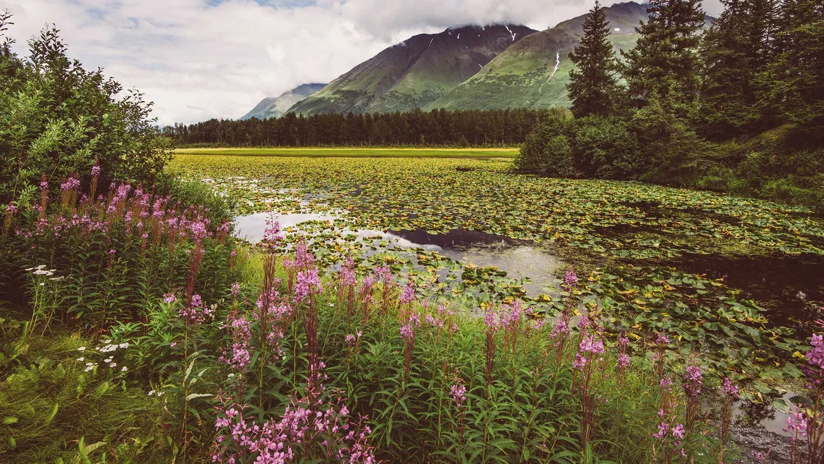 13-Night Grand Heartland Adventure Cruisetour (Post Tour) Cruise