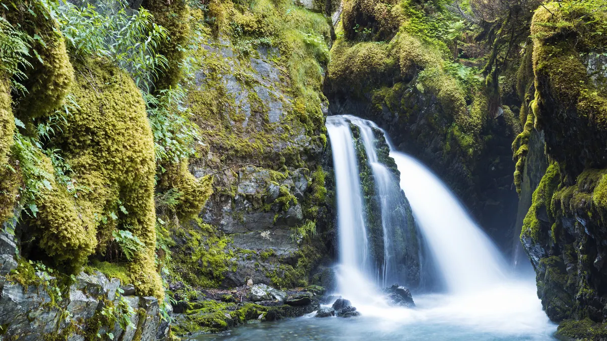 13-Night Homer Discovery And Heartland Wildlife Cruisetour (Post Tour) Cruise