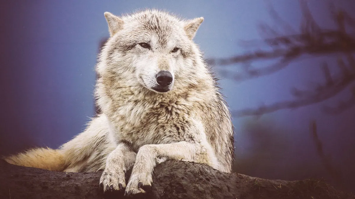 13-Night Homer Discovery And Heartland Wildlife Cruisetour (Pre Tour) Cruise