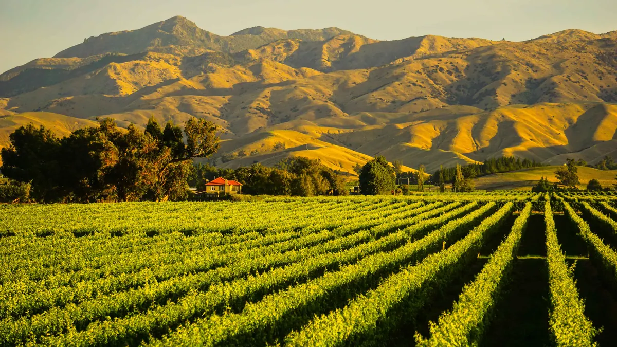 14-Night Holidays in New Zealand: Fjords & Natural Wonders Cruise