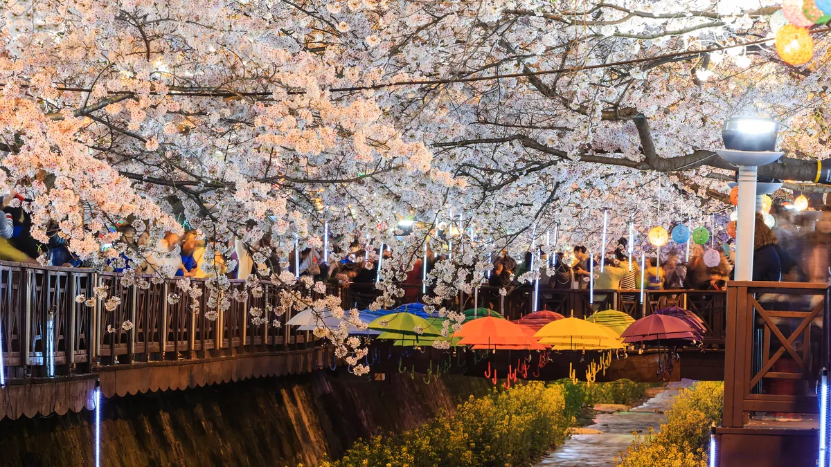 14-Night Japan & Korea: Tokyo, Kyoto, Okinawa Cruise