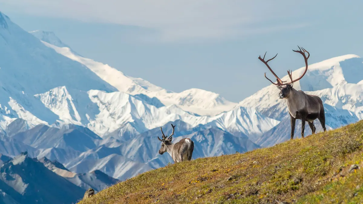 13-Night Premium Heritage and Wilderness Expedition Cruisetour (Post Tour) Cruise