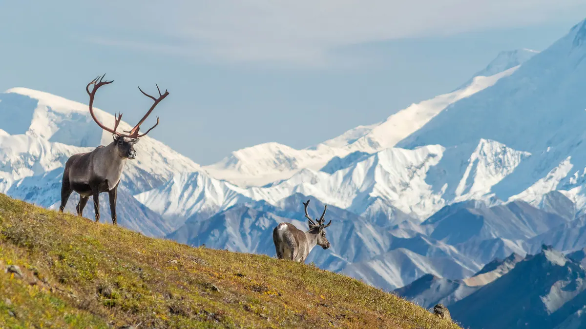 13-Night The Great Frontier Expedition Cruisetour (Pre Tour) Cruise