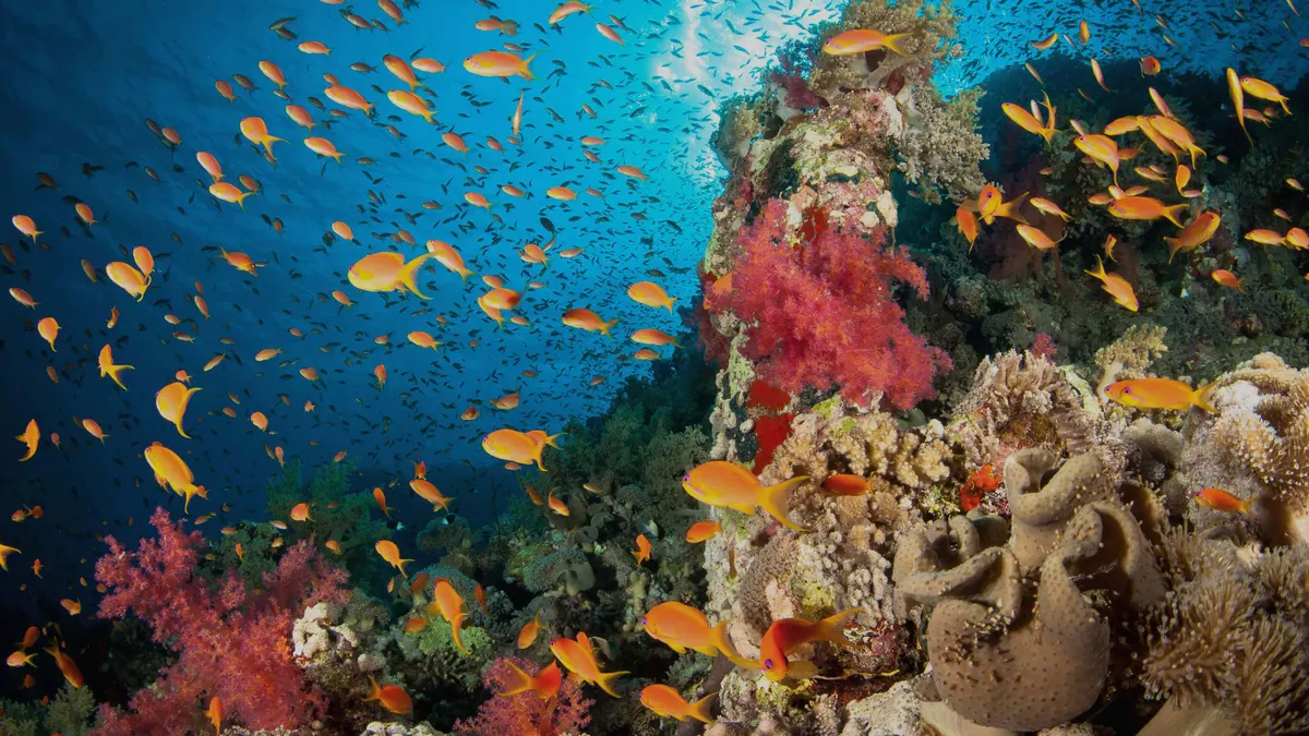 6-Night Mexico & Honduras Cruise