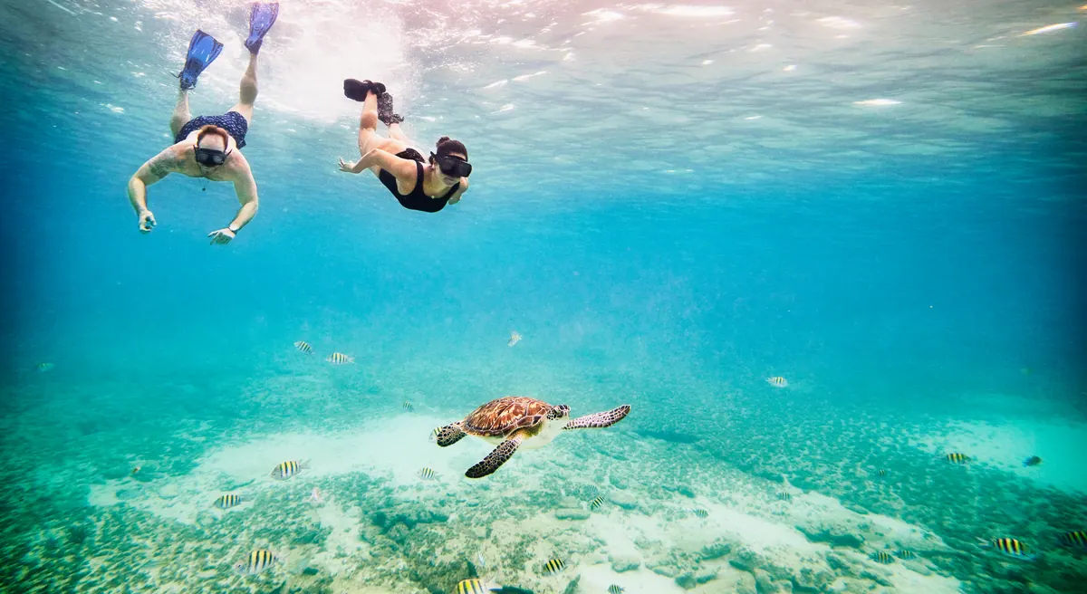 12-Night Ultimate Southern Caribbean Cruise