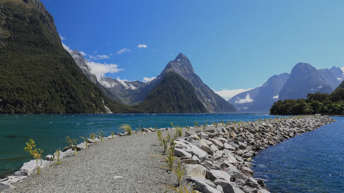 11-Night Best of New Zealand: Fjords & Natural Wonders Cruise