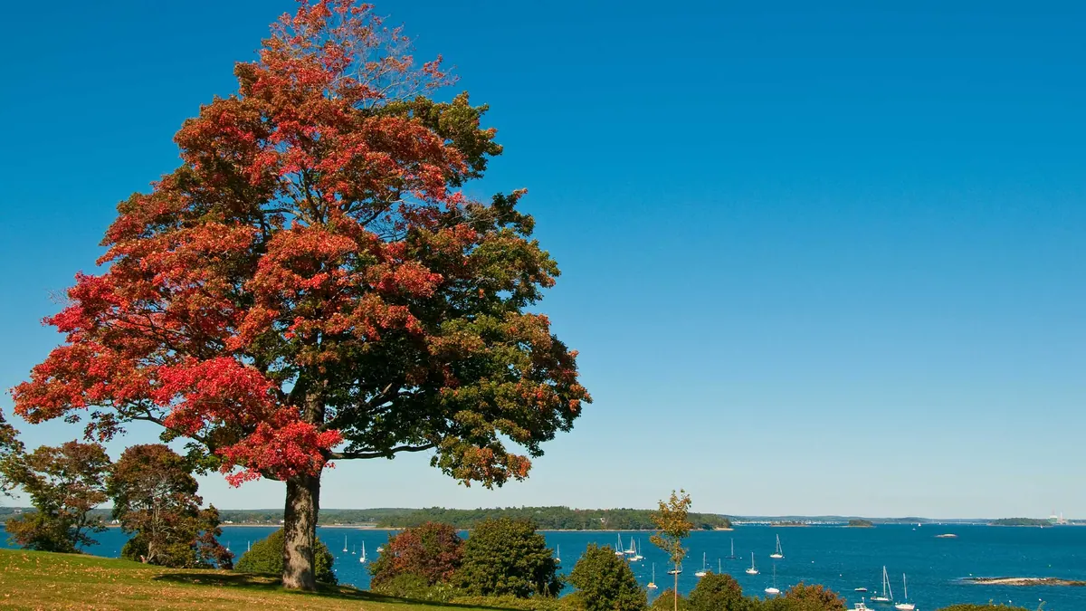 12-Night New England & Canada Fall Foliage Cruise