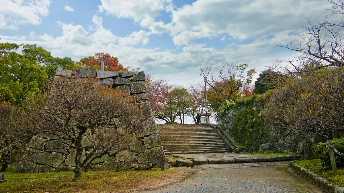 13-Night Japan Cherry Blossoms: Tokyo, Kyoto Cruise