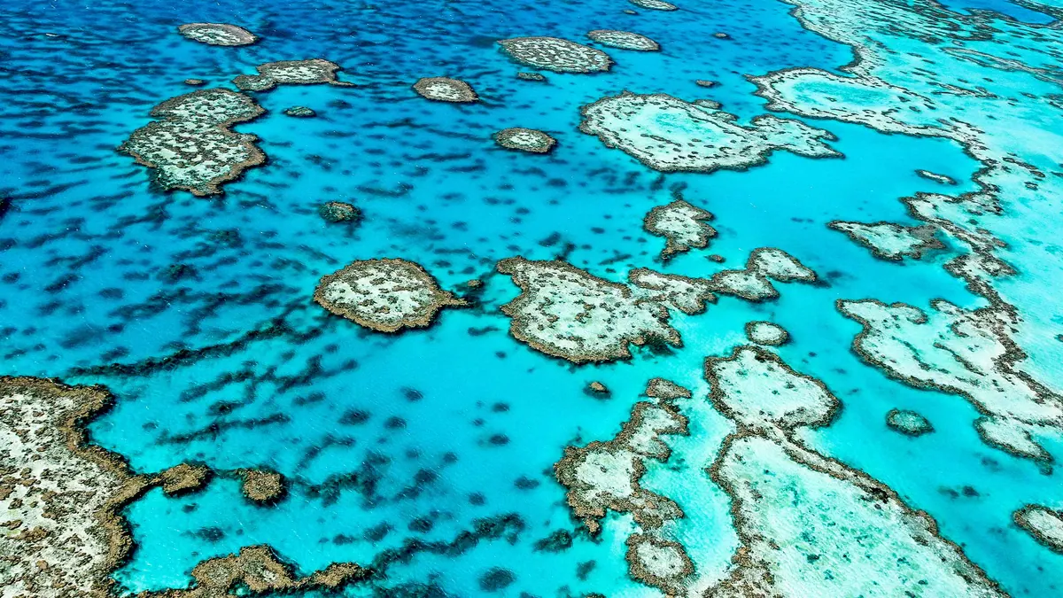 11-Night Great Barrier Reef Cruise