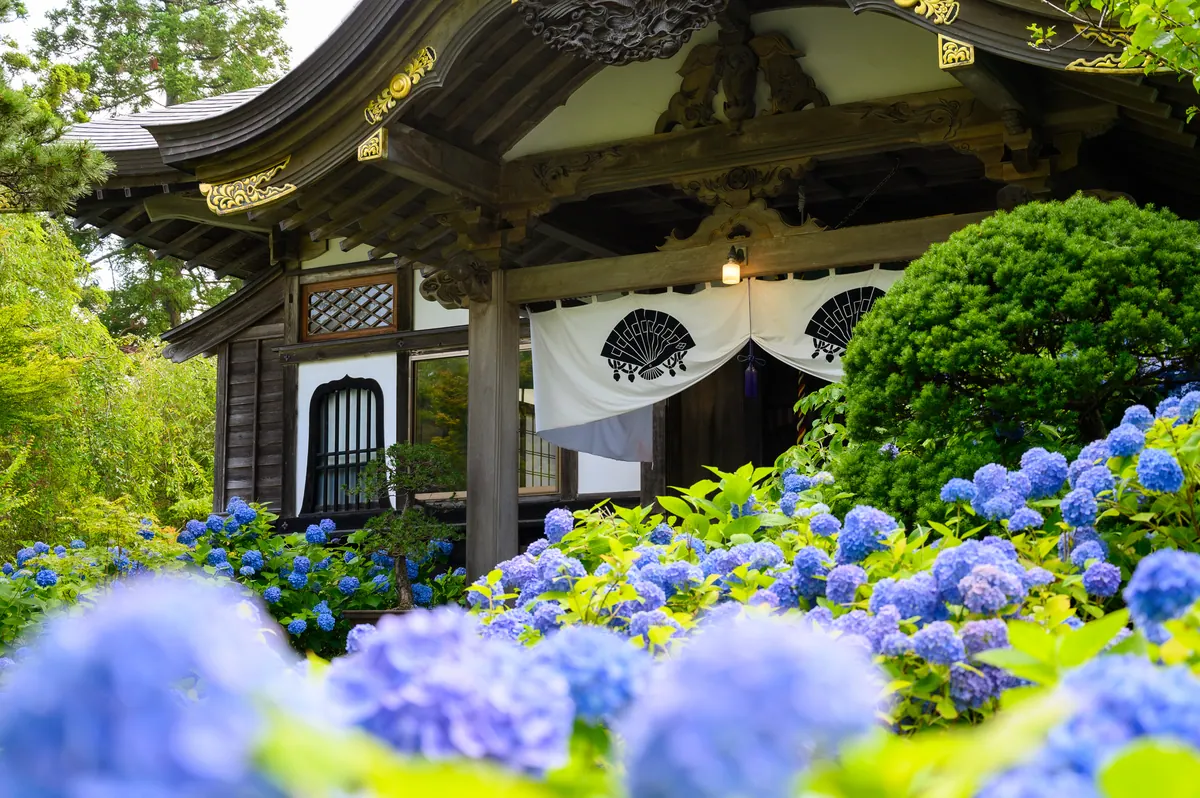 13-Night Japan & Korea: Hydrangea Season Cruise