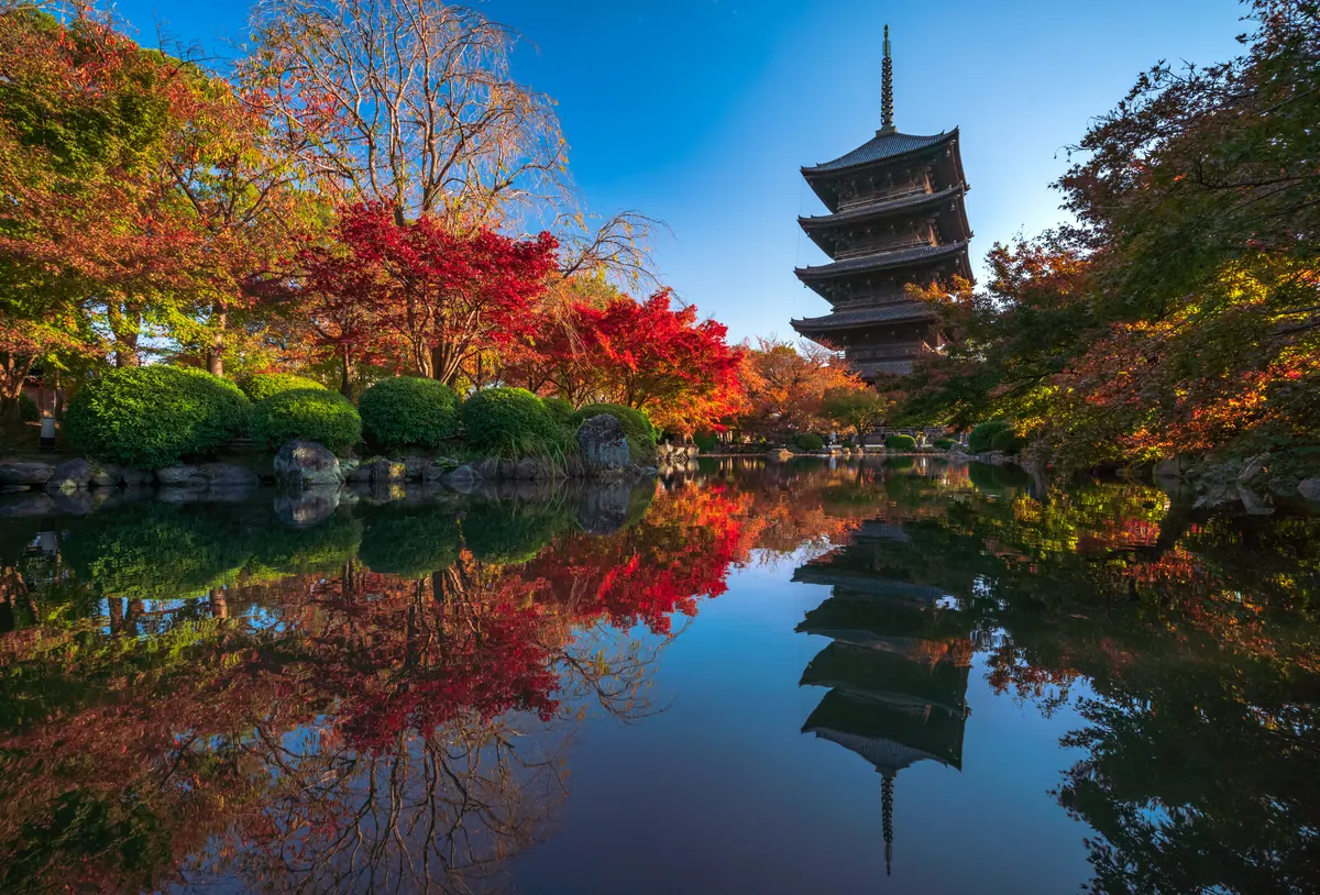 14-Night Japan & Korea: Tokyo, Kyoto, Okinawa Cruise