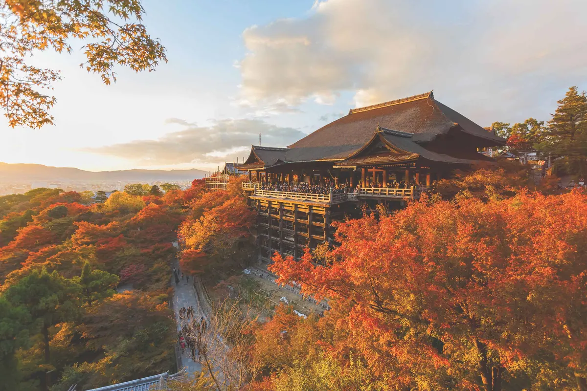 12-Night Best of Japan Cruise