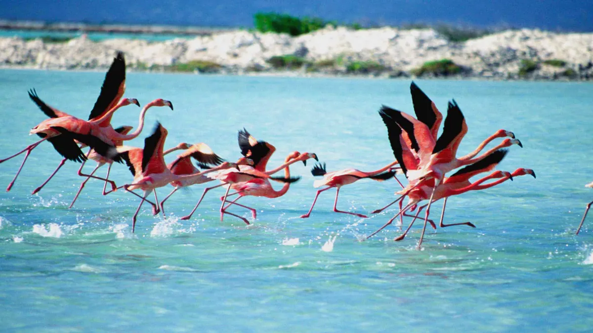 10-Night Boston to Fort Lauderdale Cruise