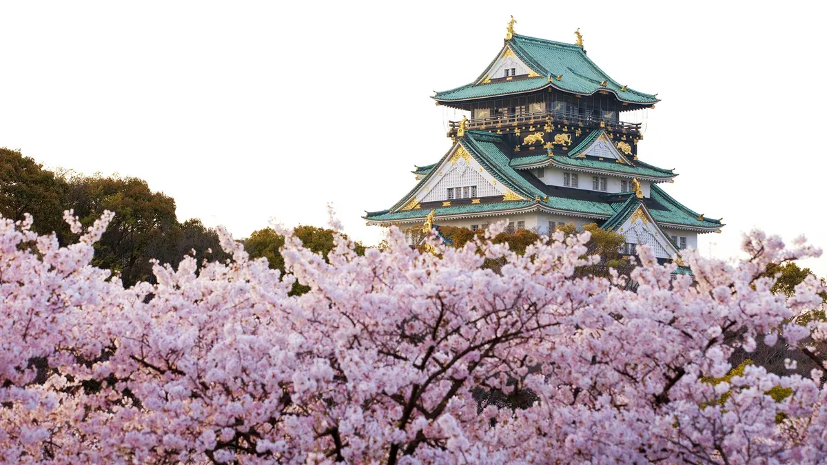 12-Night Best of Japan - Nebuta Festival Cruise
