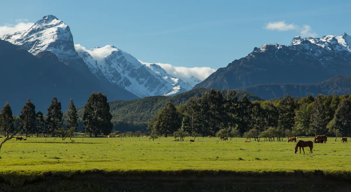 14-Night Best of New Zealand: Fjords & Natural Wonders Cruise