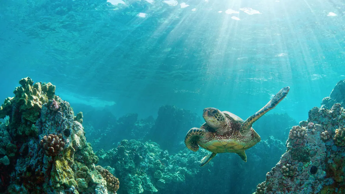 7-Night Key West, Cayman & Bahamas Cruise