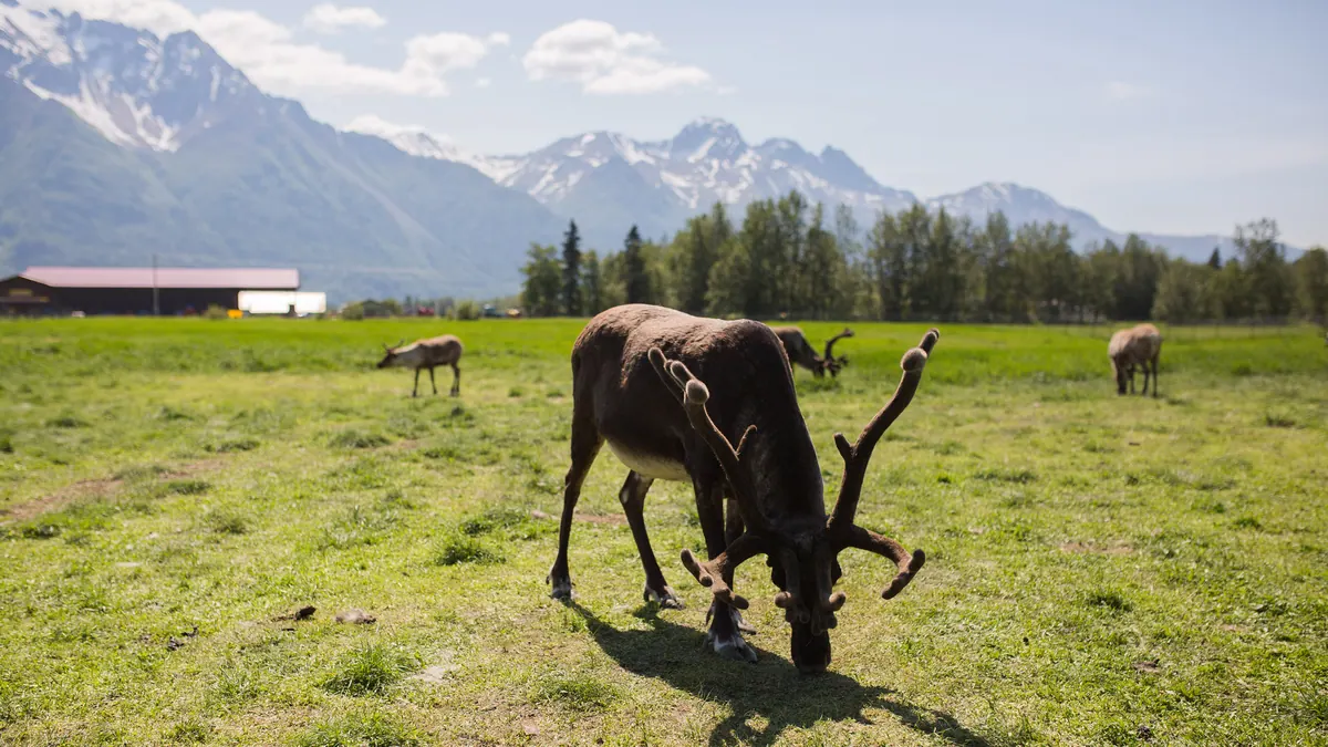 12-Night The Great National Parks Expedition Cruisetour (Post Tour) Cruise