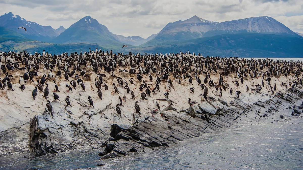 12-Night Best of South America: Argentina to Chile Cruise