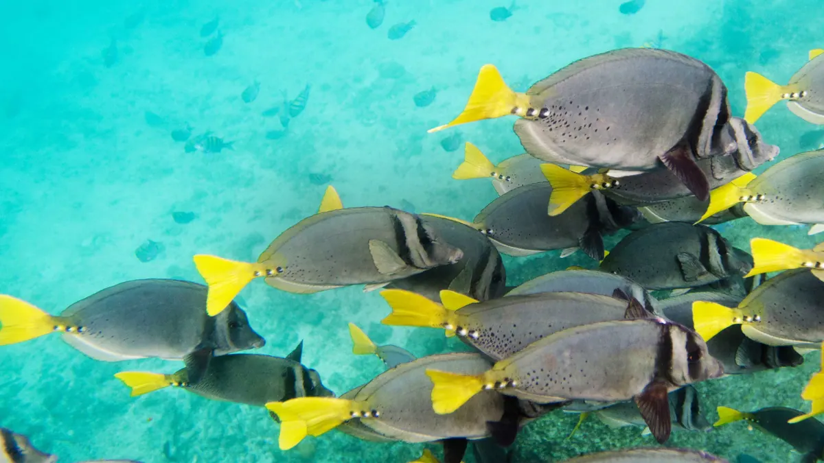10-Night Quito & Galapagos Inner Loop Cruise