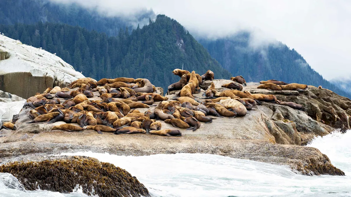 7-Night Alaska Inside Passage & Hubbard Glacier Cruise