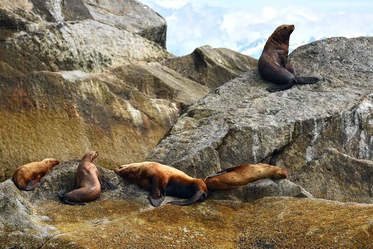 10-Night Alaska Gold Rush Adventure Cruisetour (Post Tour) Cruise
