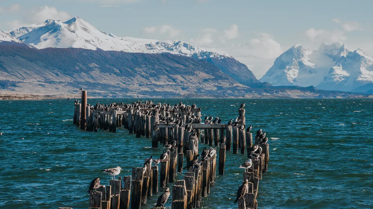 12-Night Best of South America: Explore Patagonia Cruise