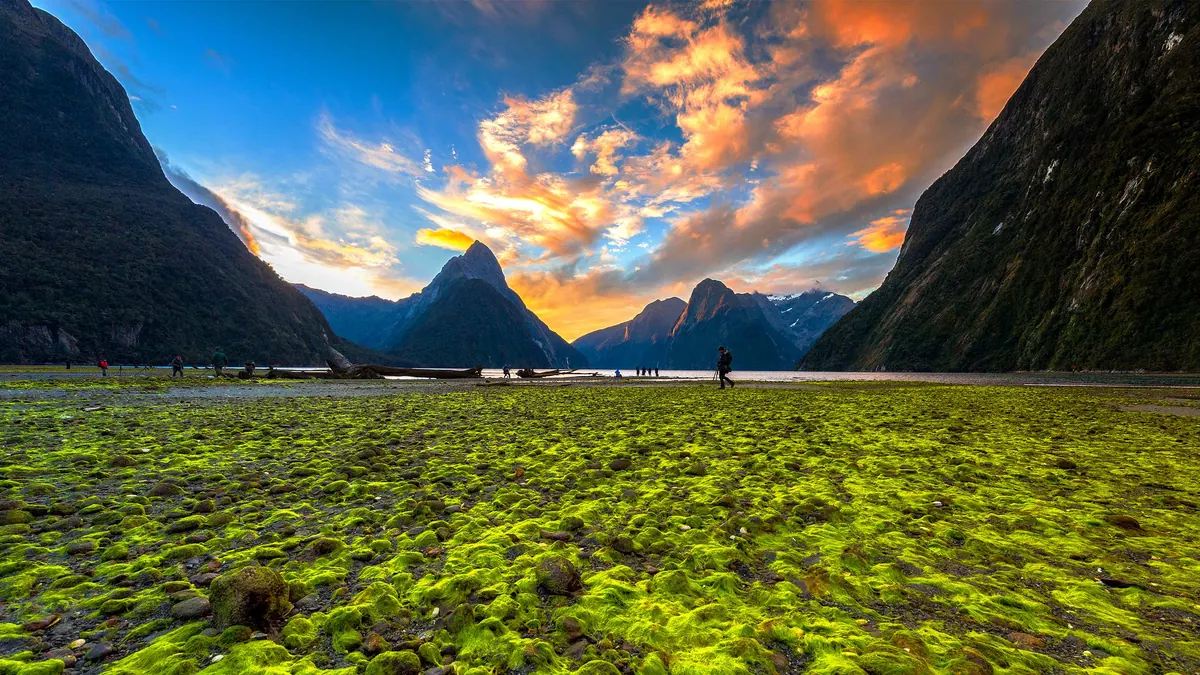 10-Night Best of New Zealand: Fjords & Natural Wonders Cruise