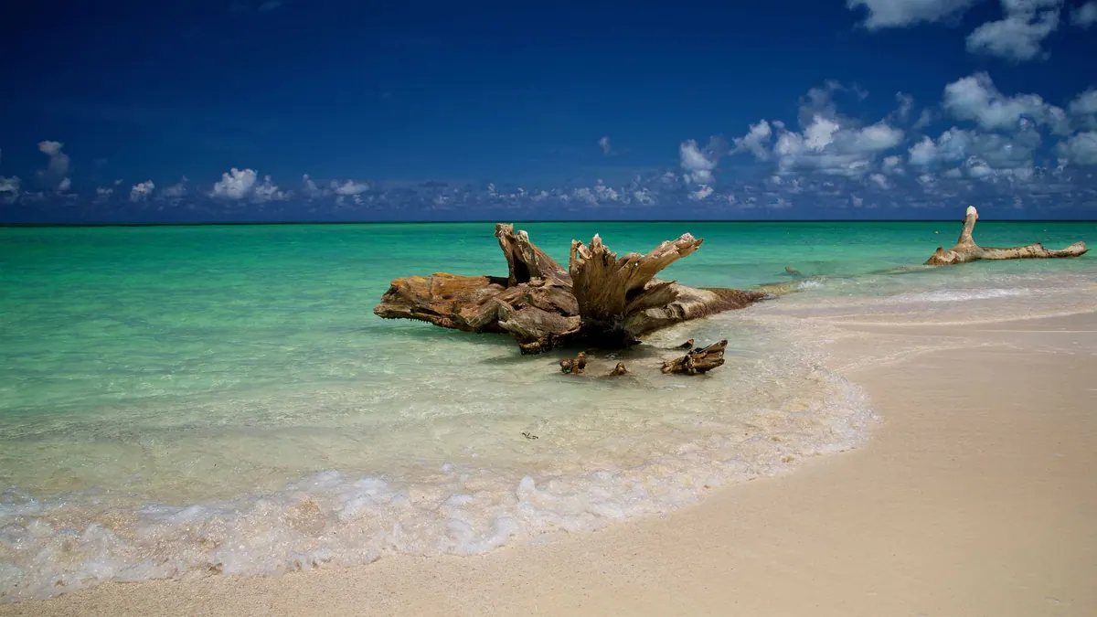 6-Night Mexico & Bahamas Cruise