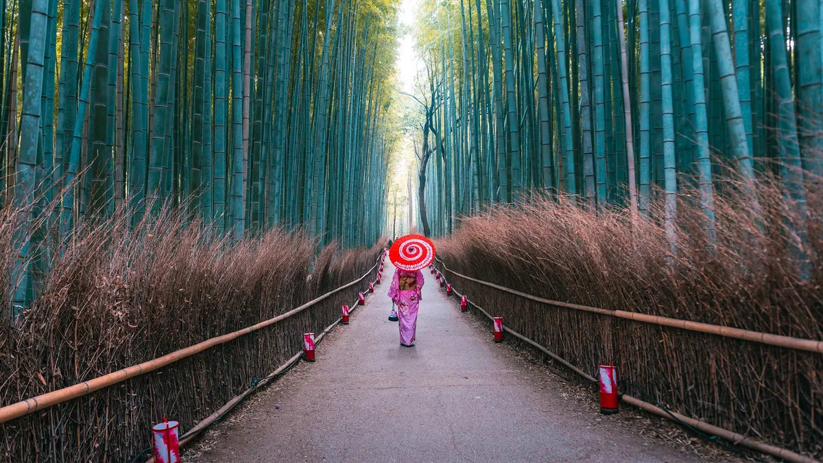 12-Night Best of Japan Cruise