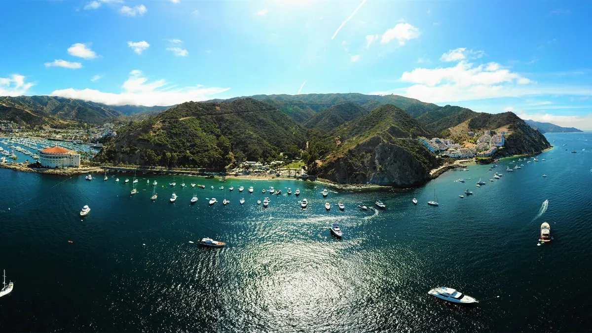 5-Night Halloween on the High Seas Baja Cruise from San Diego