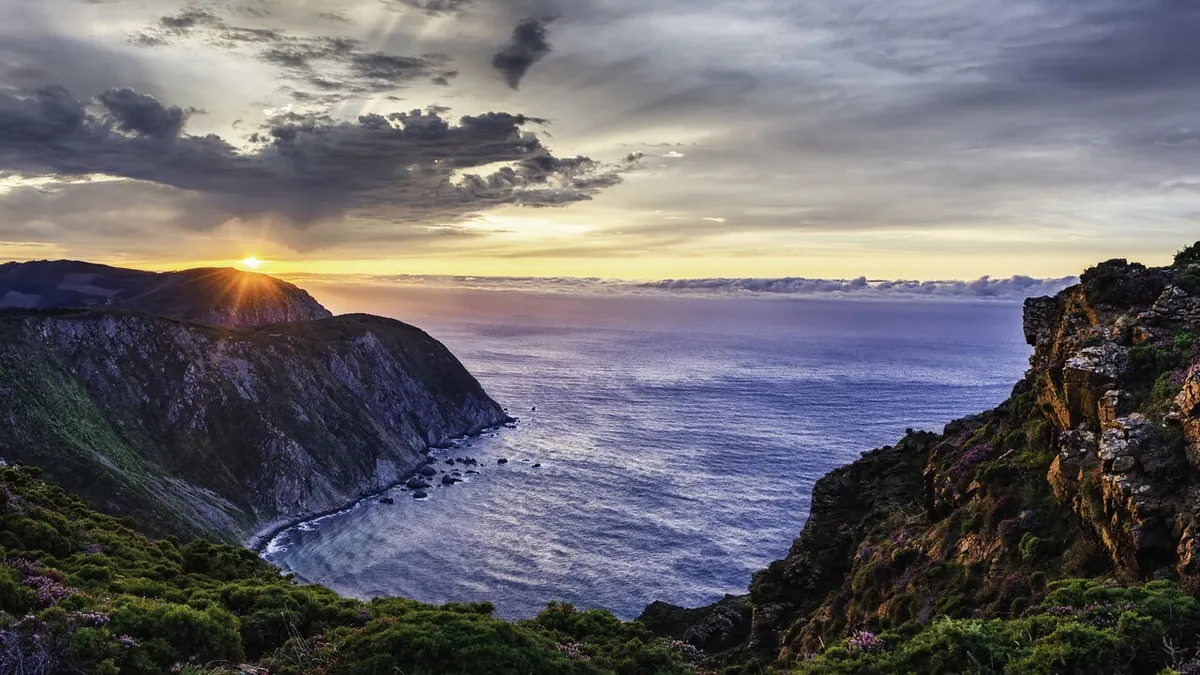 5-Night Baja Cruise from San Diego