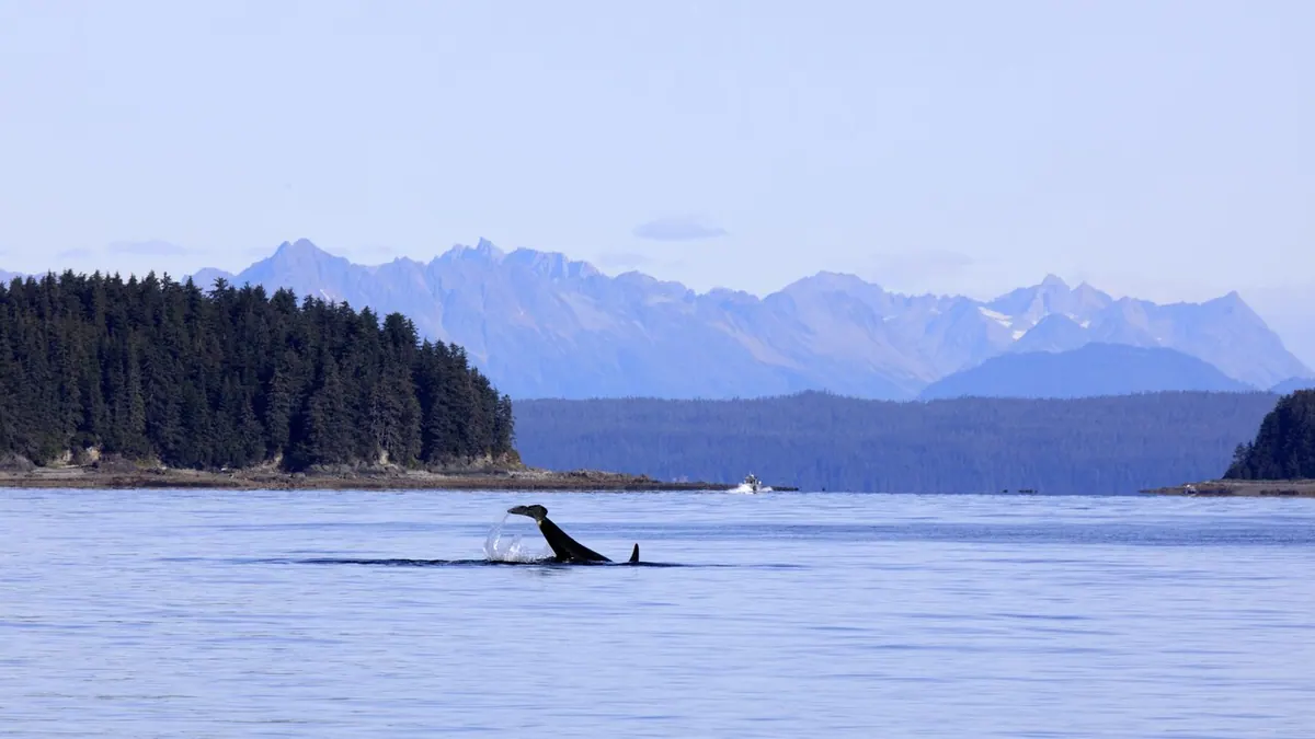 6-Night Alaskan Cruise from Vancouver