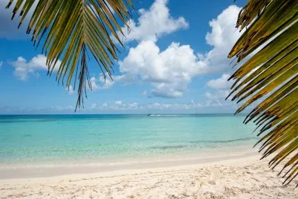 6-Night Mexico & Western Caribbean