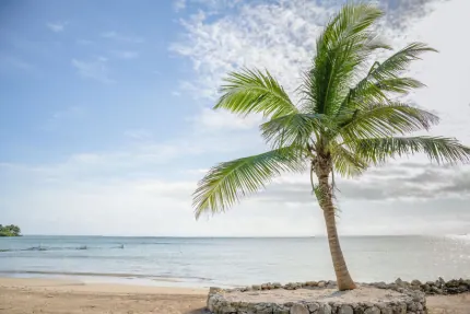 8-Night Mexico & Western Caribbean