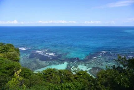 7-Night Key West & Western Caribbean