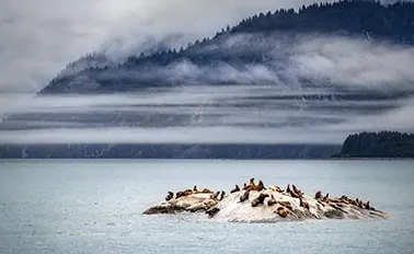 7-Night Inside Passage (with Glacier Bay National Park) Cruise