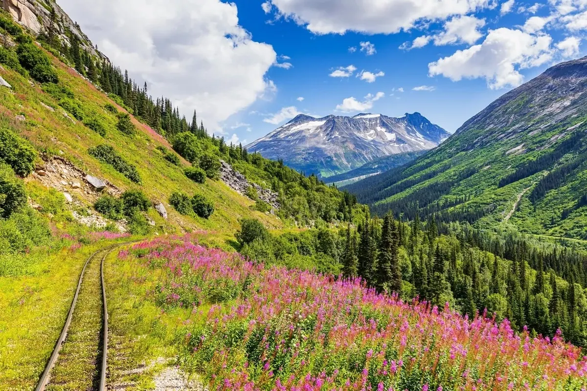 7-Night Inside Passage (Roundtrip Vancouver) Cruise